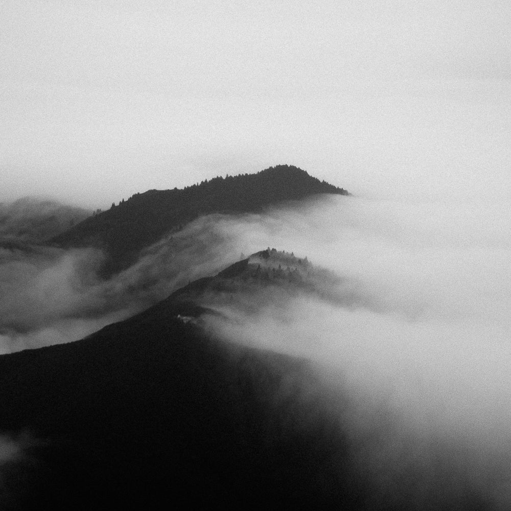 Forms In Silence